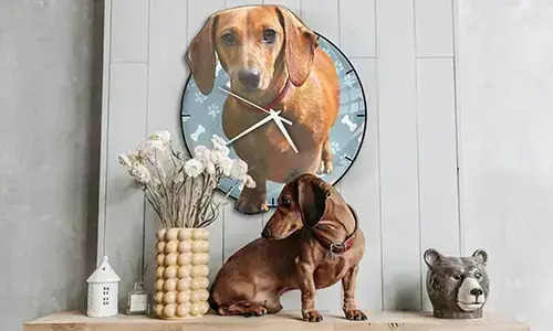 gallery-photo-wall-clock-cat-dog-3