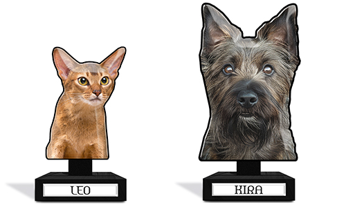 Table decoration on stand with your pet
