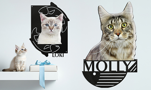 Personalised wall decoration with photo and name of your cute cat