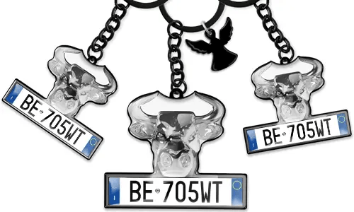 Portachiavi con toro e targa