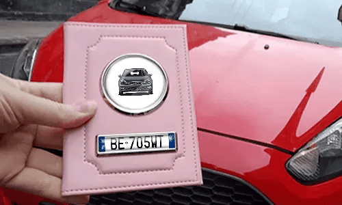 Pink Car Documents Holder