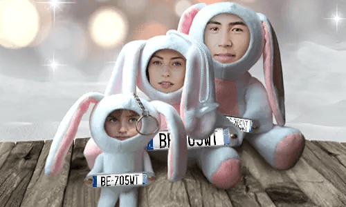 Auto - Fotokuscheltier Hase