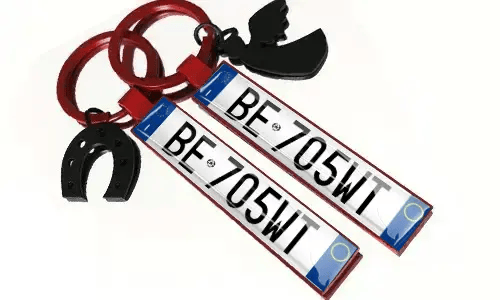 Metal keychains with license plate numbers and accessories